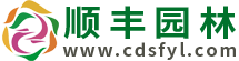 办公室植物风水植物摆放-专业知识-成都顺丰园林绿化工程有限公司-